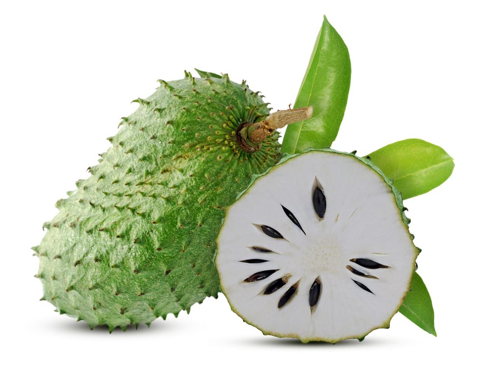 Graviola Soursop Supplement Premium Supplements graviola-soursop-supplement-premium-supplements