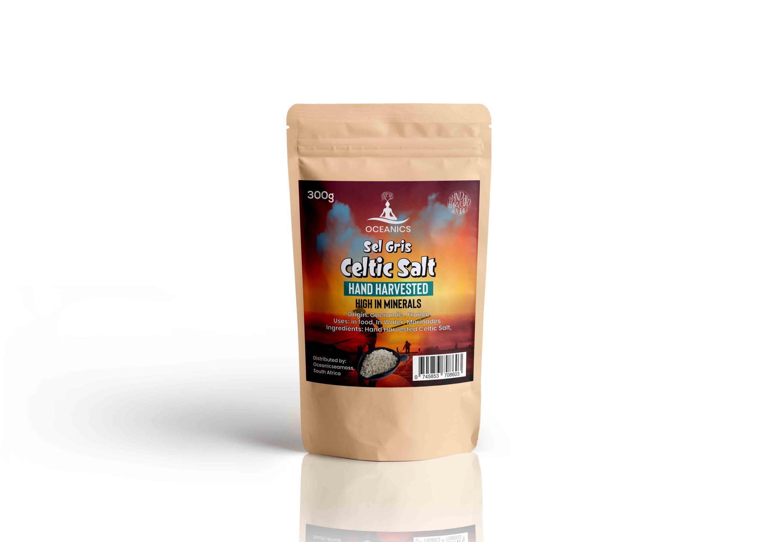 Plastic Pouch Packaging MockUp copy