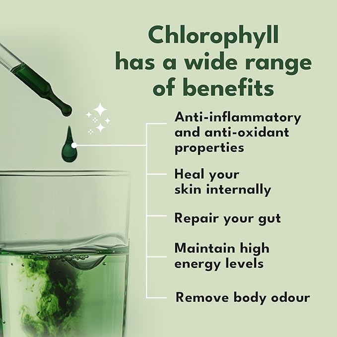 71qdnVuV4VL._AC_SX679_